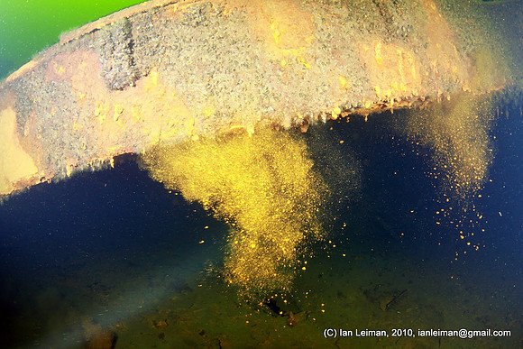 rust dropping down from the cargo hold ceiling, even the slightest touch with your fins could fill the entire place with a rust cloud