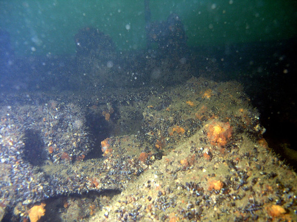 Baltic Sea, wreck of Coolaroo