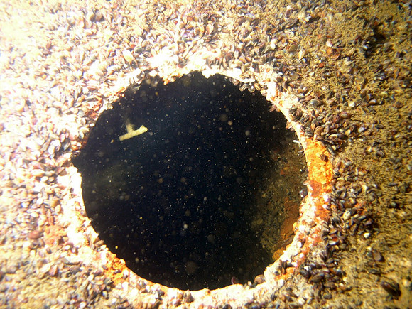 Baltic Sea, wreck of Coolaroo
