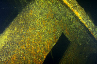 door to the forward cabin
