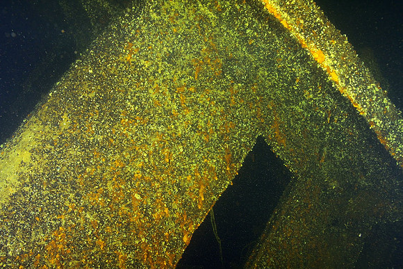 door to the forward cabin