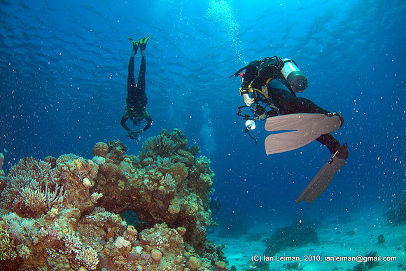 somehow I like this picture, the perspective upwards is funny looking with those fins lit by strobes from below, there is 15 meters of water above us, but you can see the waves at the surface. The bac