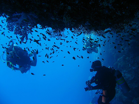 diving under a hanging rock