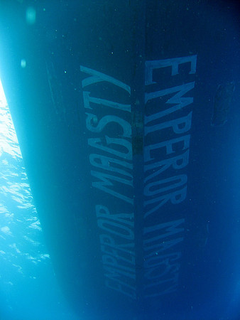 Emperor Majesty, from bottom at 10 meters below
