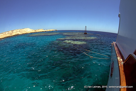 This is how the reef looks above the surface