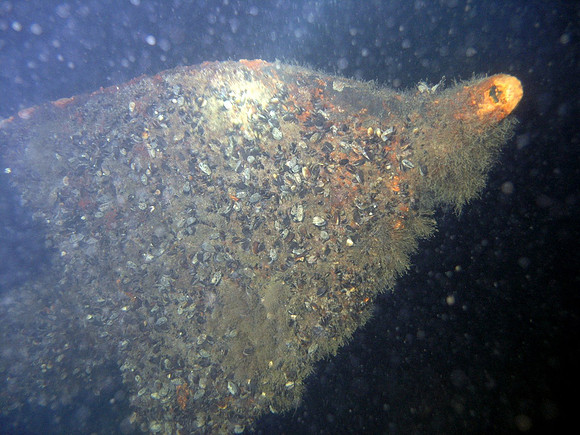 Baltic Sea, wreck of "Cronprins Gustav Adolf". Blade of the massive anchor.