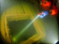 2021-06-03 D804 Diana