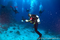 backscatter, the divers ahead have kicked sand, which now appears on both sides