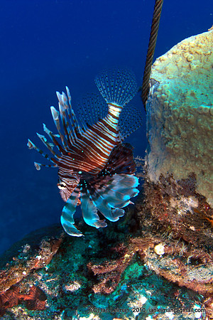 at the wreck, divetime 1:40, depth 18.8 m