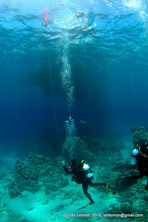 At the end of the check-dive we practice to launch the SMB's. Here the bottom is 10 meters deep.